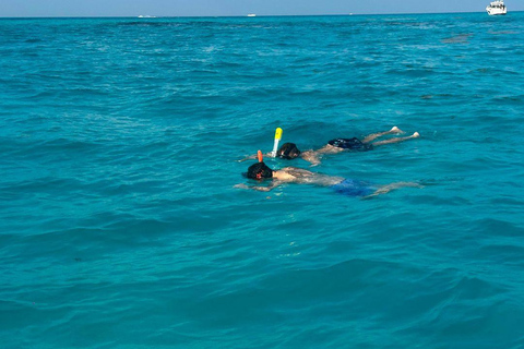 Snorkel Adventure for All Ages in Cancun 2.5 hrs