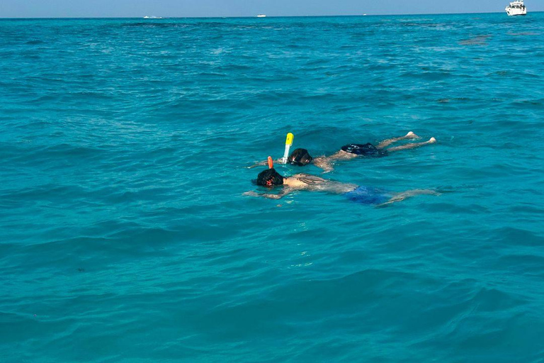 Snorkel Adventure for All Ages in Cancun 2.5 hrs
