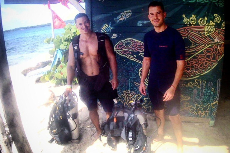 Mini plongée à Barú + Mangroves et ratons laveurs avec déjeuner