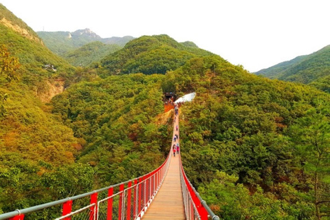 DMZ Highlights with Suspension Bridge Exclusive Private Tour DMZ with Suspension Bridge Private Tour
