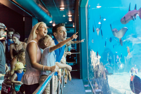 Gold Coast: Jetboat Ride & 5-Day Theme Park Pass