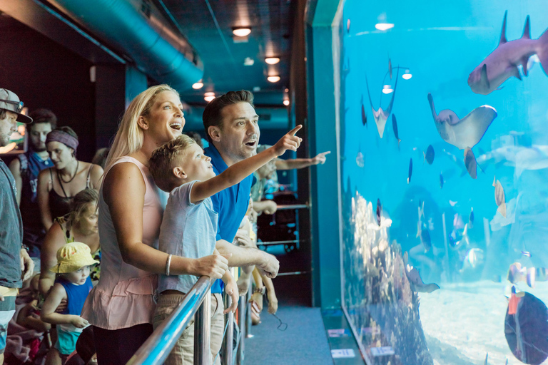 Gold Coast: Jetboat Ride & 5-Day Theme Park Pass