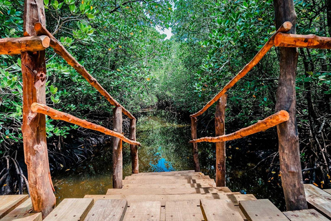 桑给巴尔：乔扎尼森林与香料农场之旅，含茶饮及接送服务桑给巴尔：乔扎尼森林与香料农场游，含茶饮及接送服务