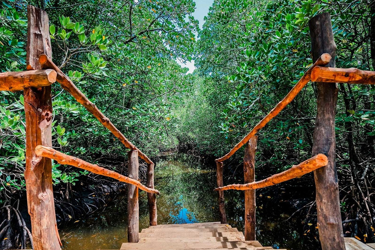 桑给巴尔：乔扎尼森林与香料农场之旅，含茶饮及接送服务桑给巴尔：乔扎尼森林与香料农场游，含茶饮及接送服务