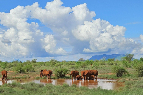 Mombasa: 3-Day Tsavo East/West & Kilimanjaro Views Safari