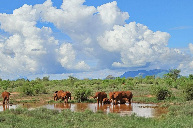Mombasa: 3-Day Tsavo East/West & Kilimanjaro Views Safari