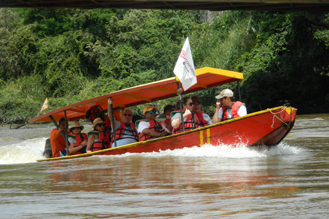 NEIVA: Achira Route: walk along the Magdalena River and achira workshop