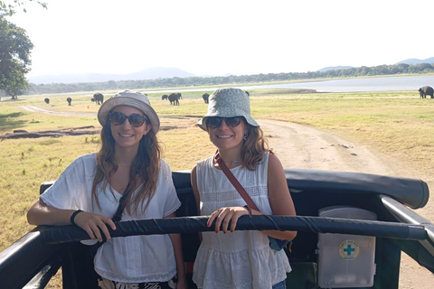 Desde Sigiriya: Safari de medio día en jeep por el Parque Nacional de Minneriya