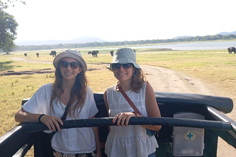 Depuis Sigiriya : Safari en jeep d&#039;une demi-journée dans le parc national de Minneriya