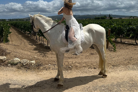 Alicante: Private Horseback Ride & Picnic with Transfer