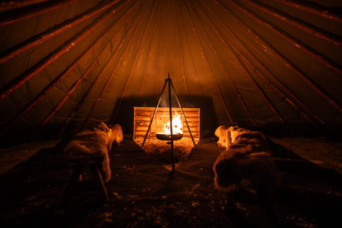 Ranua: Lupland Activity Park Entry with Reindeer Experience