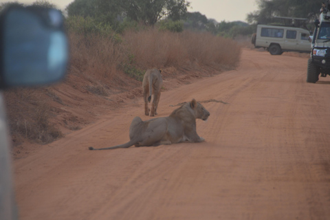 Vanuit Mombasa/Diani: 2-daagse safari door het Tsavo East National Park