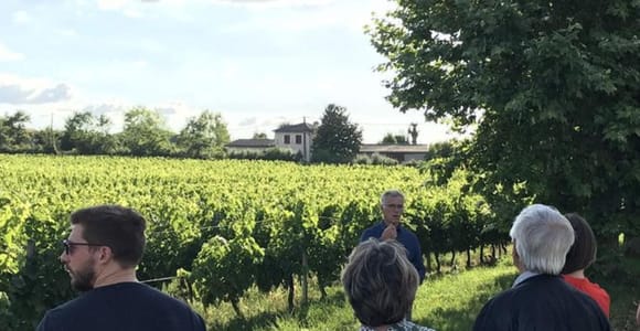 Bordeaux: Erkundung eines Bio-Familienweinguts mit Verkostung