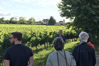 Bordeaux: Explore an Organic Family Vineyard with Tasting
