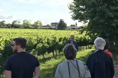 Burdeos: Explora un viñedo familiar ecológico con degustación