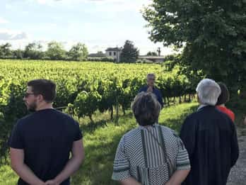 Burdeos: Explora un viñedo familiar ecológico con degustación