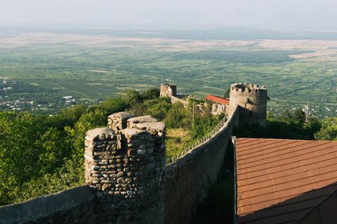 From Tbilisi: Kakheti, Sighnaghi & Telavi Day Trip with Wine