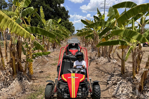 Bamboo Dune Buggy Tour