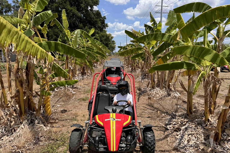 Bamboo Dune Buggy Tour