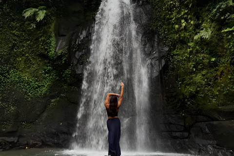 Ubud: Tour privato di templi, cascate e terrazze di risoTour di mezza giornata privato di Ubud 5-6 ore