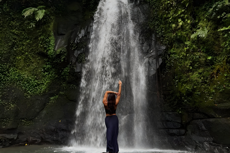 Ubud: Tour privato di templi, cascate e terrazze di risoTour di mezza giornata privato di Ubud 5-6 ore