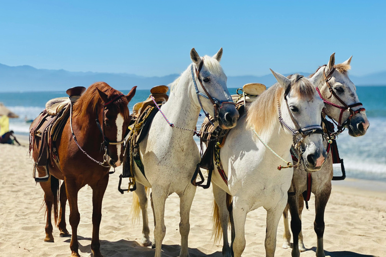 St Lucia: Private Sunset Beach Horse Ride + Pickup available