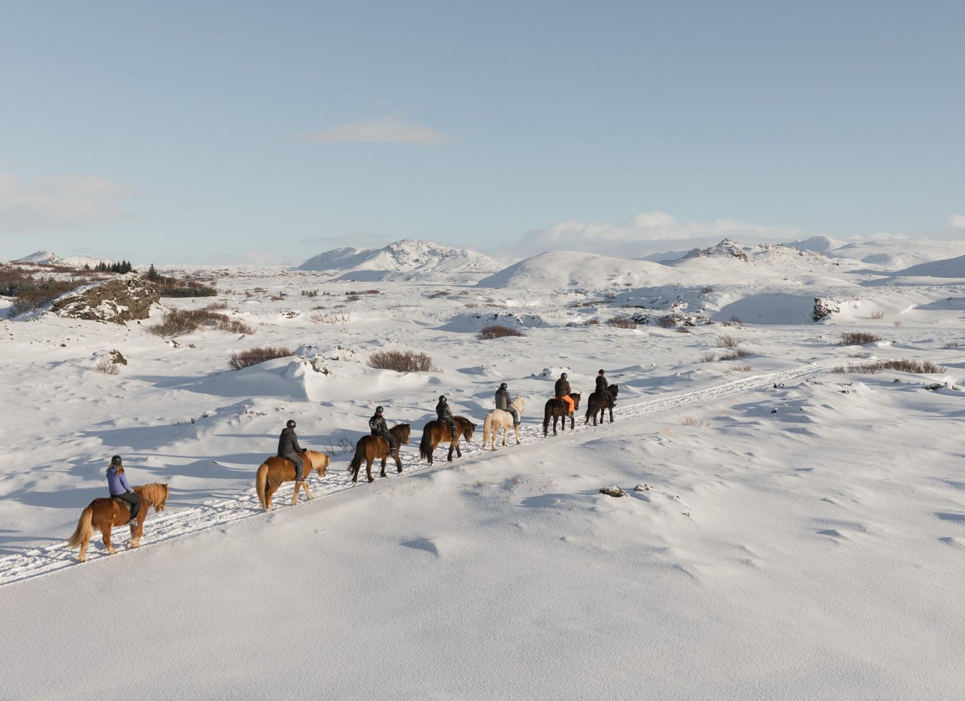 Fra Reykjavík: Islandsk ridetur i lavamarker