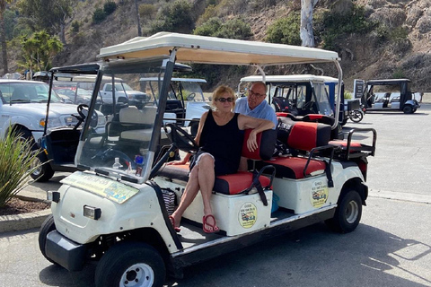 Catalina Island: privérondleiding met golfkar door AvalonAvalon: privérondleiding per golfkar