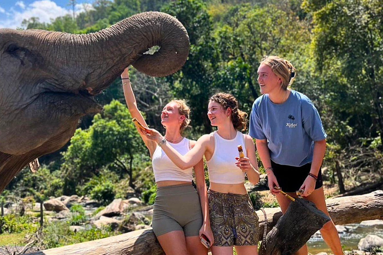 Chiang Mai: Jungle Trek, Elephants care & Bamboo Rafting