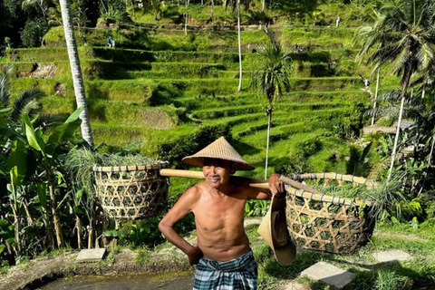 Tetebatu Waterfall Guided Hike with Local Guide