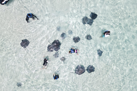 Grand Cayman: Catamaran Cruise with Stingray City & Snorkel