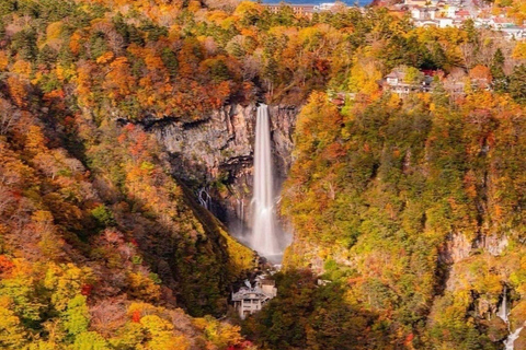 Nikko: Kegon Falls, Chuzenji, Shinkyo Bridge, Toshogu Temple In Luxury Velfire Nikko Private Customized Tour