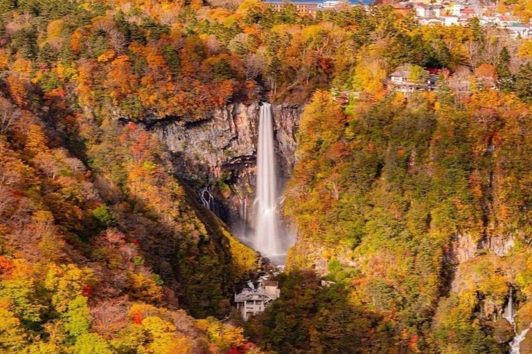Nikko: Kegon Falls, Chuzenji, Shinkyo Bridge, Toshogu Temple In Luxury Velfire Nikko Private Customized Tour