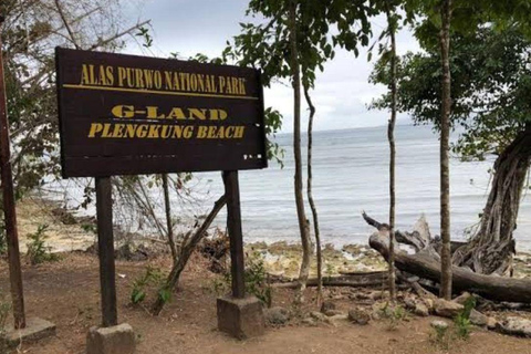 Explore Banyuwangi 3 day 2 night