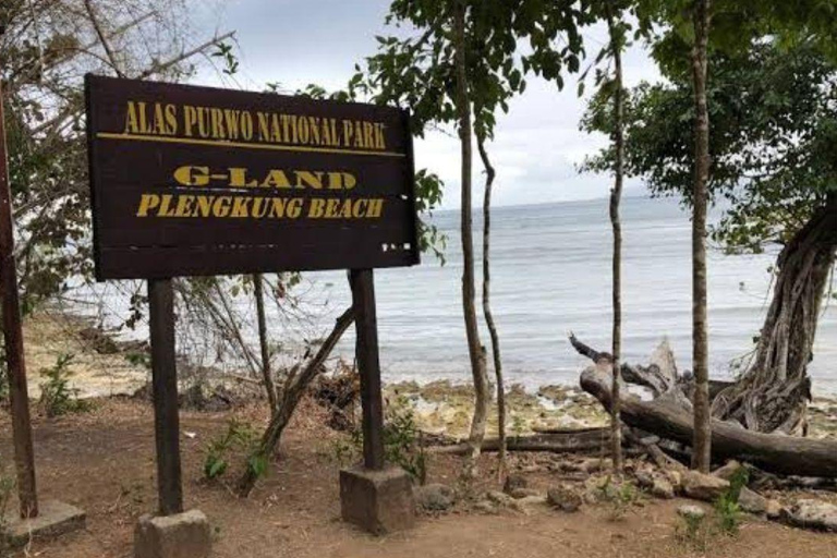 Explore Banyuwangi 3 day 2 night