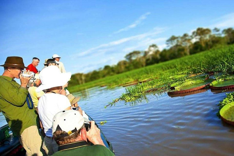 1Day Excursion to the Pacaya Samiria Piranha Fishing Reserve