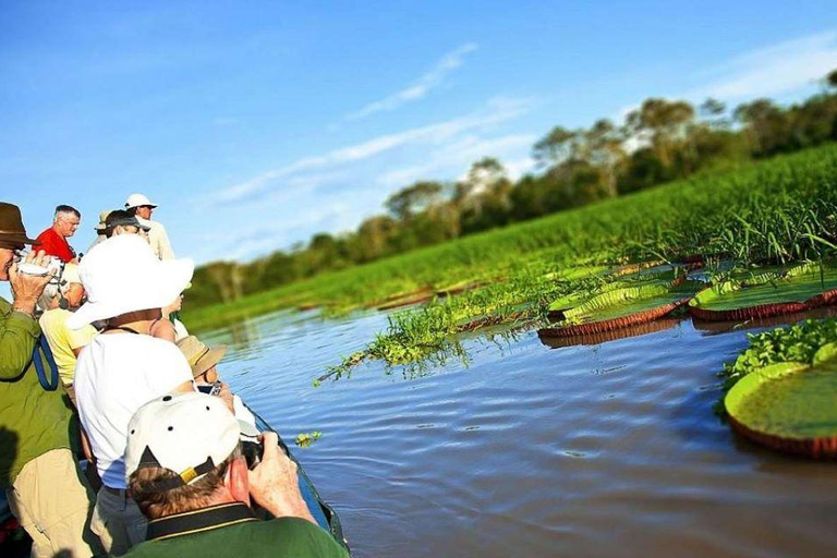 Excursão de 1 dia à Reserva de Pesca de Piranhas Pacaya Samiria