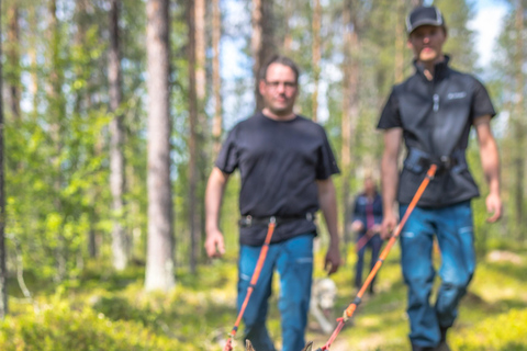 Levi: Passeggiata nella natura con gli Husky