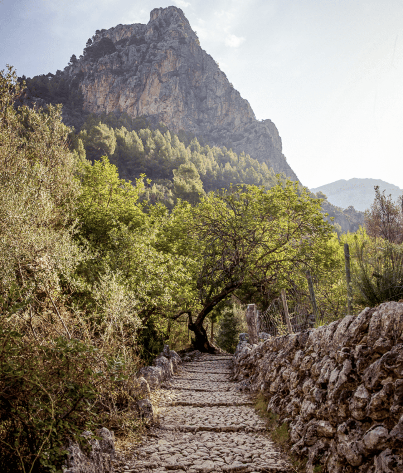 Mallorca: Gemeinsame Wanderung durch die Schlucht Barranc de Biniaraix