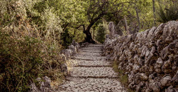 Mallorca: Gemeinsame Wanderung durch die Schlucht Barranc de Biniaraix