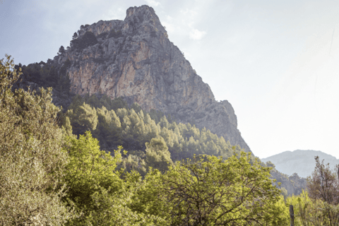Mallorca: Shared Barranc de Biniaraix Gorge Hike Blue Peaks Mallorca - Shared Hiking - Barranc de Biniaraix