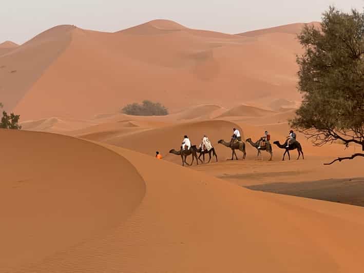 Aventure privée de 7 jours dans le désert, de Casablanca à Marrakech - dromadaire