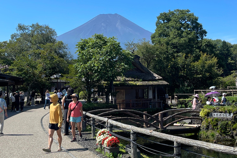 Vanuit Tokio: Privétour naar de berg Fuji met Engelse gidsTokio: Privétour naar de berg Fuji, helemaal naar jouw wensen