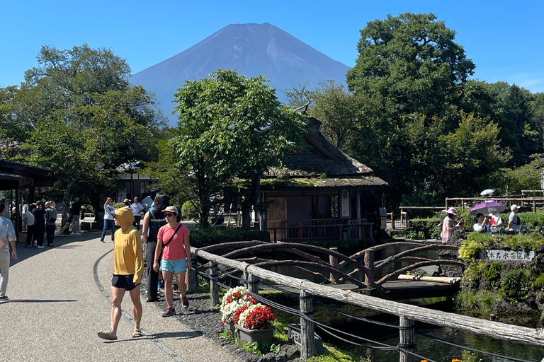 Vanuit Tokio: Privétour naar de berg Fuji met Engelse gidsTokio: Privétour naar de berg Fuji, helemaal naar jouw wensen