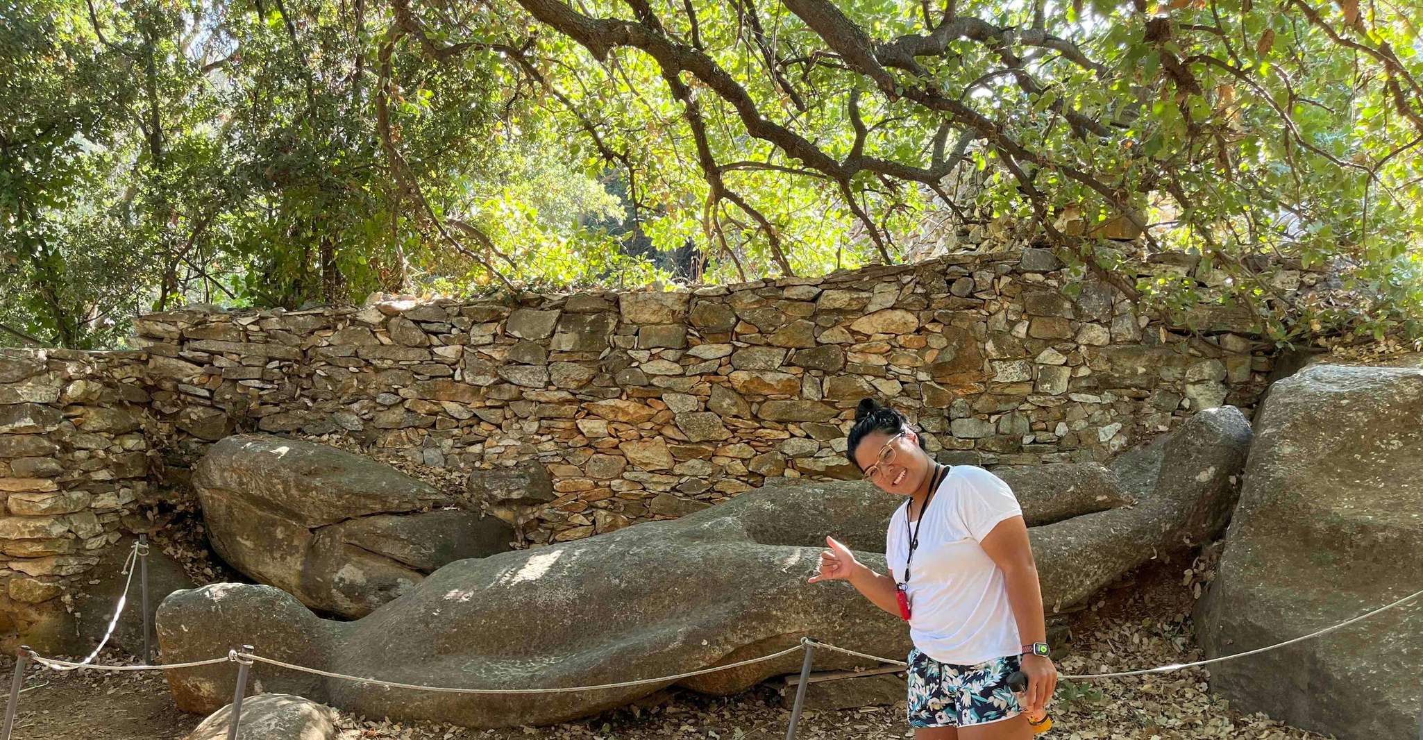 Naxos, E-Bike Guided Tour with Light Farmyard Lunch - Housity