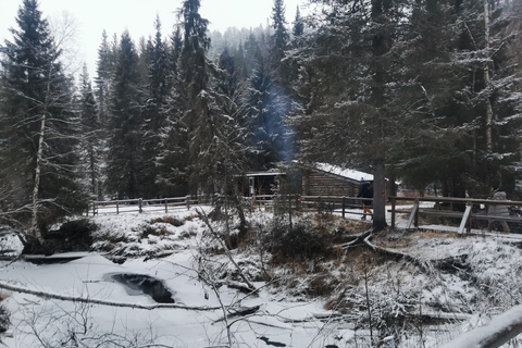 Rovaniemi: Caminhada guiada pelas cachoeiras congeladas do Korouoma Canyon