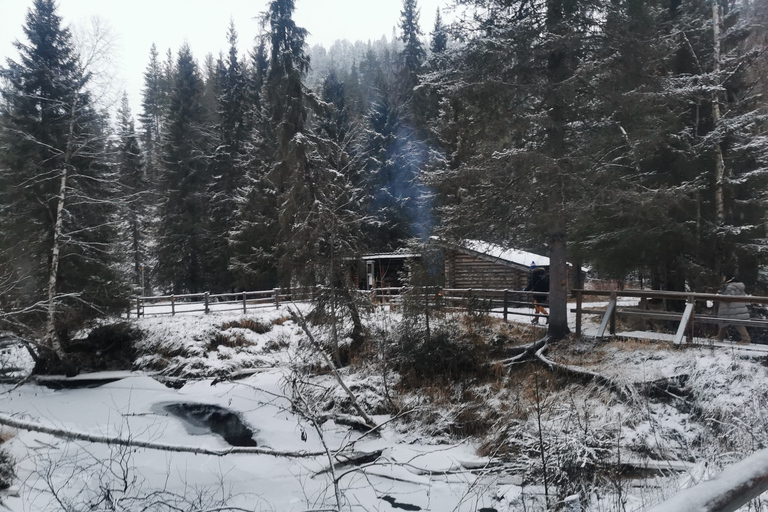 Rovaniemi: Korouoma Canyon Frozen Waterfalls Guided Hike