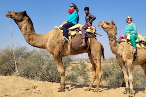 Jodhpur woestijn kameel safari & jeepsafari met etenJodhpur woestijn kameel & jeep safari met traditionele gerechten