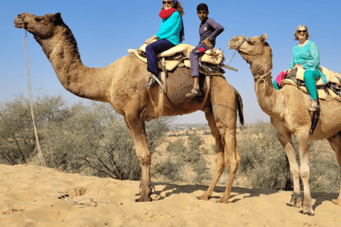 Safari à dos de chameau dans le désert de Jodhpur et safari en jeep avec repasSafari à dos de chameau et en jeep dans le désert de Jodhpur avec repas traditionnel