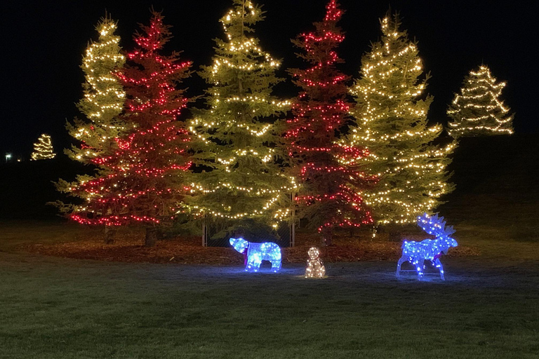 Calgary All Is Bright; Sparkle & Lights Christmas Tour